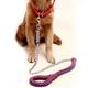 Pet Dog Iron Chain Explosion-proof Impact Traction Rope Set Nylon Anti Bite Dog Rope Dog Chain For Pets