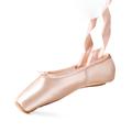 Women's Ballet Shoes Pointe Shoes En Pointe Dance Supplies Training Performance Practice Ribbons Flat Heel Pink Lace-up Adults' / Satin