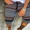 Men's Shorts Summer Shorts Bermuda shorts Beach Shorts Boho Pants Drawstring Print Graphic Prints Comfort Lightweight Knee Length Holiday Beach Stylish Casual 1 2 Inelastic