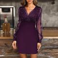 Women's Casual Dress Winter Dress Bodycon Mini Dress Mesh Mesh Patchwork Daily Date Vacation Active Fashion V Neck Long Sleeve Black Wine Red Color