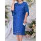 Women's Plus Size Lace Dress Party Dress Cocktail Dress Lace Embroidered Crew Neck 3/4 Length Sleeve Leaf Midi Dress Birthday Vacation Blue Summer Spring