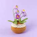 Handmade Crochet Lily of the Valley Bouquet Potted Plants, Knitted Artificial Forever Flowers With Exquisite Pot,Gift to Friends Women Kids, Perfect for Home Decorations, Office Desk