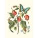 Midsummer Floral I Poster Print - Studio Vision (18 x 24)
