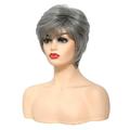 Gray Wigs for Women Short Grey Wigs for White Women Natural Wave Synthetic Full Old Lady Wig for Old Middle Age Women Office Lady
