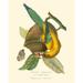 Nature Jardin IV Poster Print - L. Curmer (24 x 36)