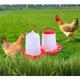 Lot mangeoire 3 kg et abreuvoir 3L pour poules et volailles Dolaso