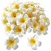 100 Pack White Foam Hawaiian Frangipani Artificial Plumeria Flower Petals Cap Hair Hat Wreath Floral DIY Home Wedding Decoration 5cm