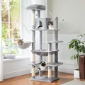 Grand arbre à chat d'intérieur pour grands chats tour pour gros chats super grand hamac arbres