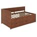 Red Barrel Studio® Oryana Daybed in Brown | 34.3 H x 42.4 W x 77.8 D in | Wayfair 95F3945AFBF54EE1B341BE7E0BB8E013