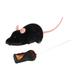 Mouse Toy Simulation Plush Mouse Mice Kids Toys Gift for Cat Dog White Ear (Black)
