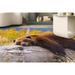 Brown Bear Resting on a Log Rugs Modern Rug Bear Rug Animal Rugs Round Rug Personalized Rug Office Rug Soft Rug Dining Room Rug 3.3 x5 - 100x150 cm