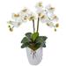 Silk Plant Nearly Natural Double Phalaenopsis Orchid in White Vase