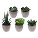 5 Pcs Home Accents Decor Small Ornaments Indoor Plant Pots Artificial Succulent Plants Succulents