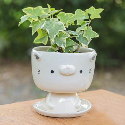 Endearing Kitty,'Cat-Shaped Ivory Ceramic Mini Flower Pot with Saucer'