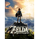 The Legend of Zelda: Breath of the Wild EU Nintendo Switch CD Key