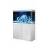 Tucker Murphy Pet™ Tulane Rectangle Aquarium Tank Glass (cost efficient & easy to clean) in White | 54.1 H x 39.3 W x 14.1 D in | Wayfair