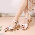 Women's Heels Sandals Dress Shoes Ankle Strap Heels Wedding Daily Wedding Sandals Platform Wedge Heel Pointed Toe Casual Minimalism PU Ankle Strap Light Green Beige