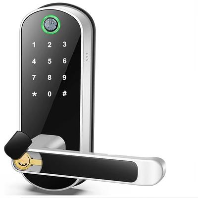 Smart 5 In 1 Door Lock With Handle Biometric Technology Storage Memory Function