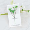 Dried Flower Card Gypsophila Greeting Card Holiday Card Birthday Card Party Invitation Card Father's Day Mother's Day Best Gift