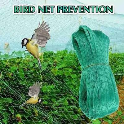 Anti-bird Netting Deer Fence Pond Netting Green Anti-bird Netting To Protect Plants Fruits Trees And Vegetables