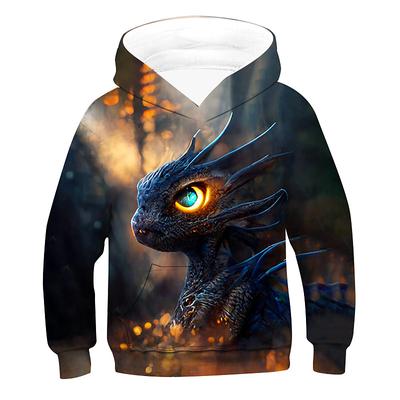 Unisex 3D Graphic Animal Dragon Hoodie Long Sleeve 3D Print Summer Spring Fall Fashion Cool Kids 3-12 Years Outdoor Daily Regular Fit