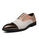 Men's Oxfords Formal Shoes Dress Shoes Walking Vintage Daily PU Comfortable Lace-up Black and White White / Purple Color Block Fall