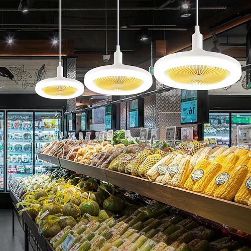 ventilatore da soffitto con luce cavo di controllo remoto presa e26 include ventilatore da soffitto chiuso da 10 pollici dimmerabile 3 colori chiari, ventilatore da soffitto a basso profilo a basso profilo a 3 velocità per cucina