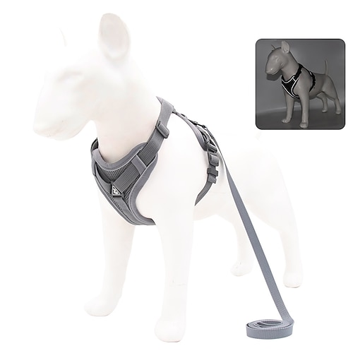 hund katze haustiere geschirr leine tragbar dauerhaft sicherheit draussen laufen buchstabe polyester kleiner hund blau 1pc Image
