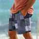 Plaid-Farbblock-Herren-Resort-Boardshorts mit 3D-Druck, Badehose, elastische Taille, Kordelzug mit Netzfutter, Aloha-Hawaiian-Stil, Urlaub, Strand, S bis 3XL