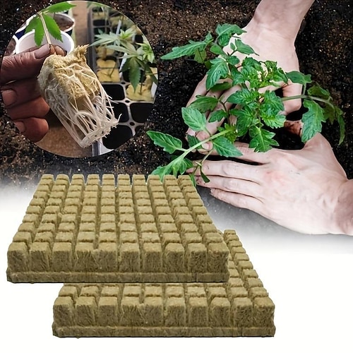 100 Stück/Beutel Mini-Kompressenbasis praktische Steinwollwürfel Multifunktions-Medienblöcke Garten Hydroponik wachsen erdlose Kultivierung 25 x 25 x 25 mm Image