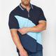 Herren Übergröße Poloshirt Groß und hoch Farbblock Umlegekragen Bedruckt Kurzarm Frühling Sommer Sport Modisch Strassenmode Designer Outdoor Strasse Oberteile