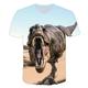 Kinder Baby Jungen T-Shirt Kurzarm Dinosaurier Fantastische Tierwesen Grafik 3D Tier Rundhalsausschnitt Druck Weiß Blau Gelb Kinder Oberteile Aktiv Cool 2-12 Jahre