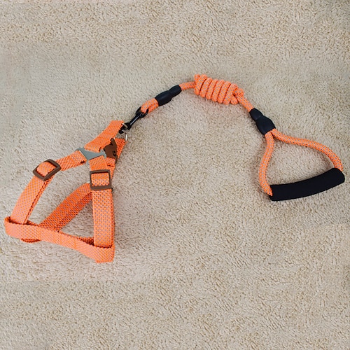 Hunde Katzen Trainingsleine Hundeleine Pet Walking Leash Einziehbar Fluchtbeweis Mit rutschfestem Griff Outdoor Gehen Einfarbig Kleiner Hund Mittlerer Hund Image