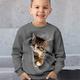 Jungen 3D Katze Pullover Langarm 3D-Druck Frühling Herbst Modisch Strassenmode Cool Polyester kinderkleidung 3-12 Jahre Rundhalsausschnitt Outdoor Casual Täglich Regular Fit