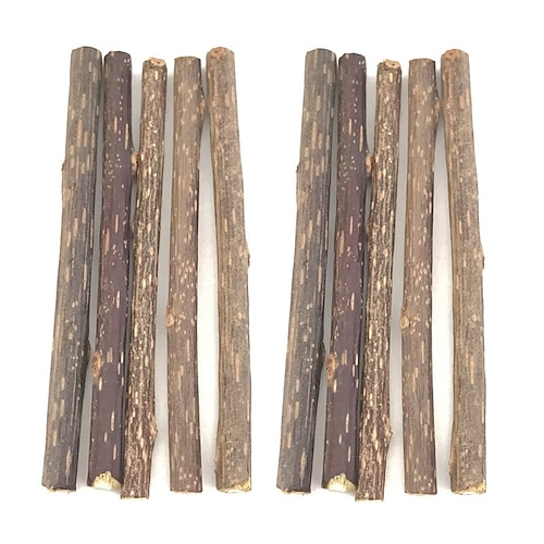10 Stück natürliche Katzenminze Haustier Katze Backenzahn Zahnpasta Stick Matatabi Actinidia Frucht Silvervine Katze Snacks Sticks Haustier Reinigung Zähne