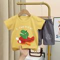 Neues Set mit kurzärmeligen Shorts für Kinder für Jungen und Mädchen, Baby-T-Shirts für Jungen und Mädchen, komplett aus Baumwolle