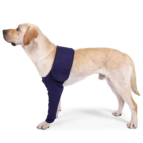 grenzüberschreitendes neues Produkt Hundebein postoperative Genesung Anti-Leck-Hülse Hund mit Anti-Leck-Hülse Hund Beinverletzung Rehabilitation Lieferungen Image