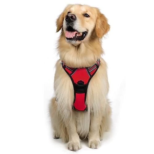 Hunde Pelzige Kleintiere Geschirre Tragbar Langlebig Sicherheit Outdoor Gehen Farbblock 1 Stück Image