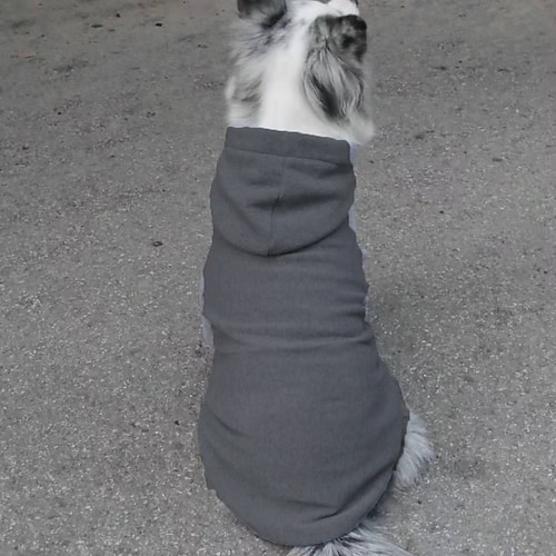 Hund Katze Kapuzensweatshirt Elegant Niedlich Atmungsaktiv Weich Alltagskleidung Alltagstauglich Hundebekleidung for Buldogge Bichon Frise Zwergspitz Klein Mittelgroß Image