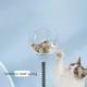 1pc Spring Cat Food Leakage Ball Swing Self Entertainment Cat Treat Dispensing Ball Pet Puzzle Slow