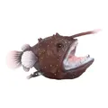Sea Animal Figurine Portable Mini Angler Fish Figure Simulation Ocean Animal Model Sea Animal Toys