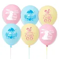 10pcs Easter Egg Bunny Rabbit Theme Macaron Style Balloon Set Happy Easter Party Balloon Decoration