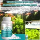 Aquarium Water Filter Fish Tank Water Purification Tablets Purify Water Clear Clarifying Agent Stand