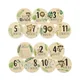 7PCS Cute Baby Wooden Monthly Milestone Cards With Announcement Sign Pregnancy Newborn Shower Gifts