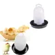 Small Chicken Waterer Automatic 300ML Chick Drinker Parrot Drinking Bowl Water Feeder Home Poultry