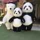 Large Street Walking Inflatable Panda Mascot Costume Polar Bear Cosplay Wedding Birthday Party Plush