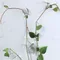 10pcs/20pcs- Plant And Green Plant Fixer Green Basket Vine Climbing Wall Hanging Style Household