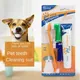 Pet Products Cleaning Tools Gum Care for Dogs and Cats Universal Disposable Toothpaste Toothbrush