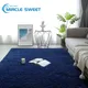 Fluffy Plush Carpets for Living Room Decor Rugs for Bedroom Thicker Shaggy Long Pile Floor Mat