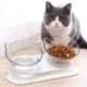 Non-Slip Double Cat Bowl Pet Water Food Feed Dog Bowls Pet Bowl With Inclination Stand Cats Feeder